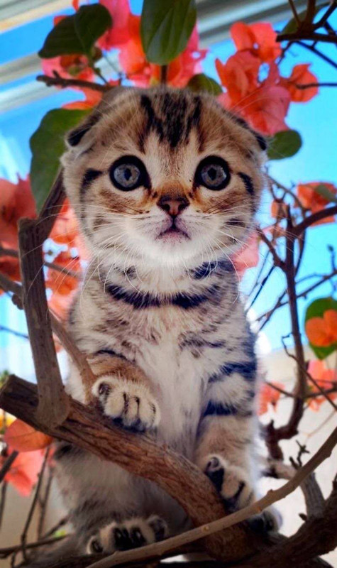 1599464643801149.jpg 懵懂-胡立軍.jpg