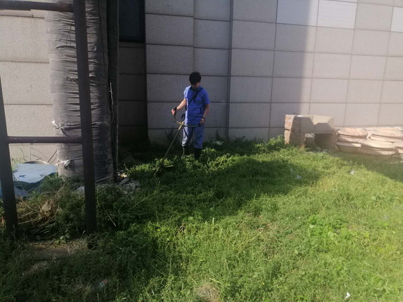 1600243836705901.jpg 1600243836705901.jpg