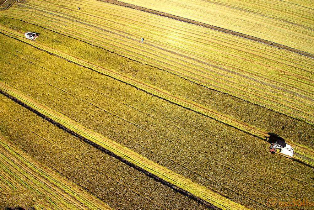 1603949824693231.jpg 1603949824693231.jpg