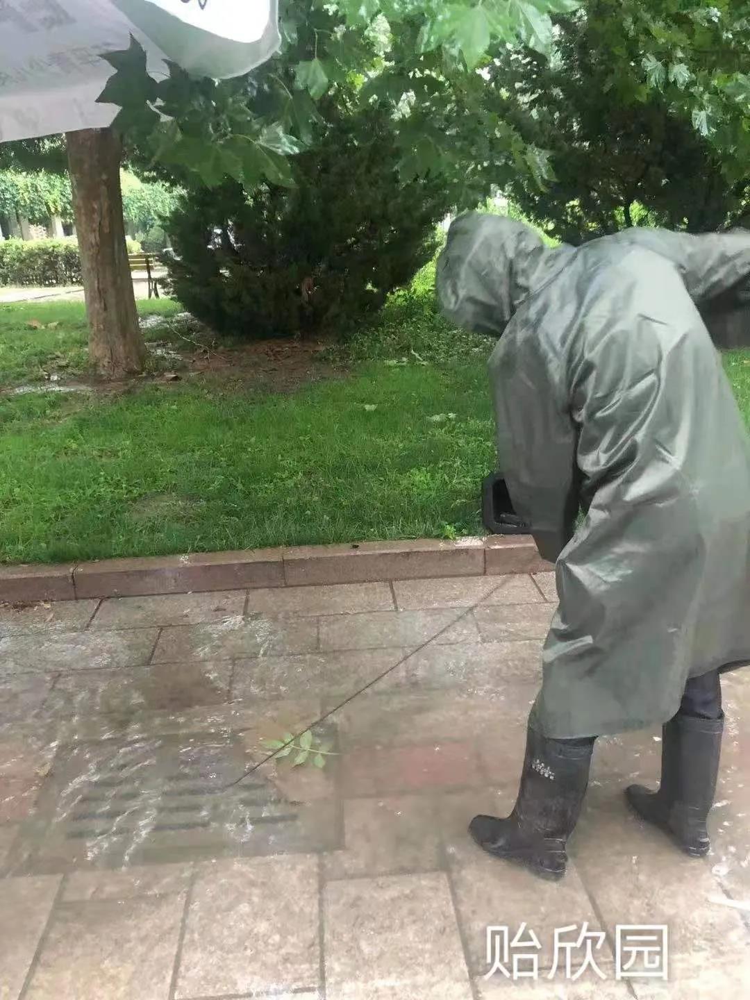 1626137073394317.jpg 1626137073394317.jpg