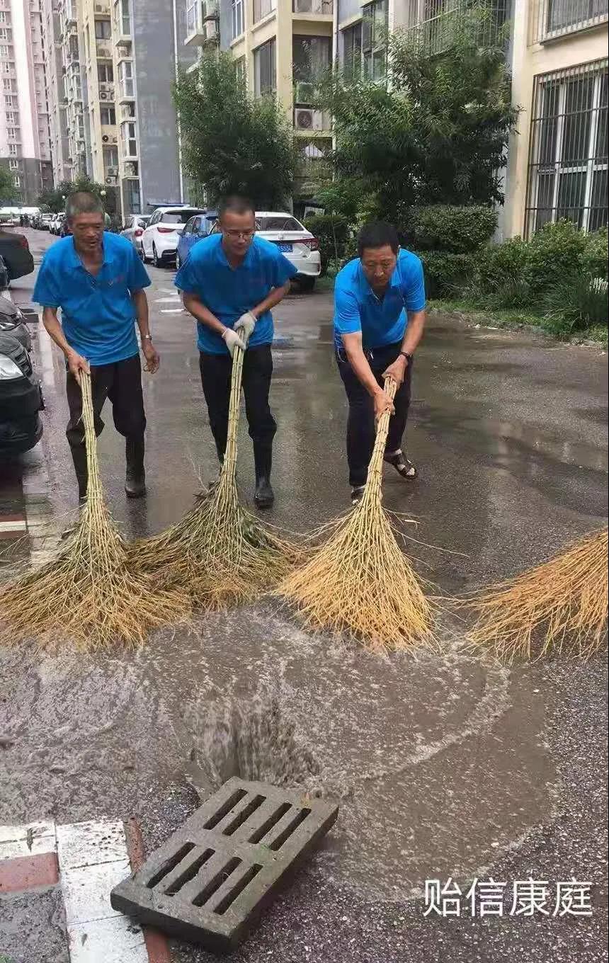 1626137153384495.jpg 1626137153384495.jpg