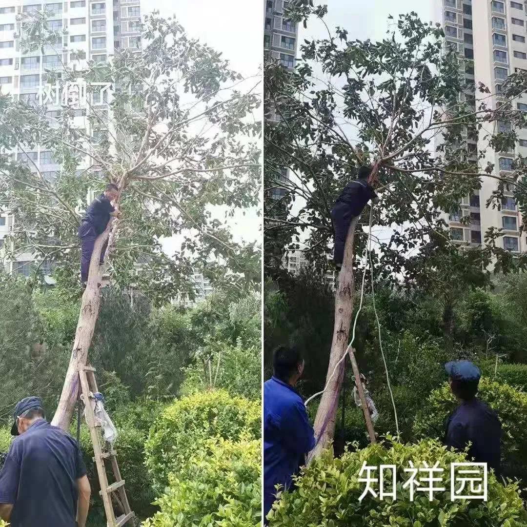 1626137205721216.jpg 1626137205721216.jpg